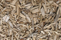 biomass boilers Drongan